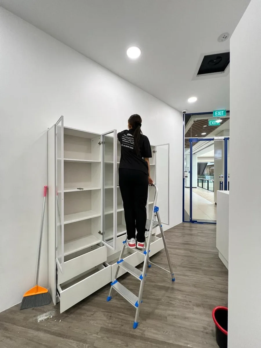 Office cleaning — high cabinet wipe on stepladder, no surface left untouched