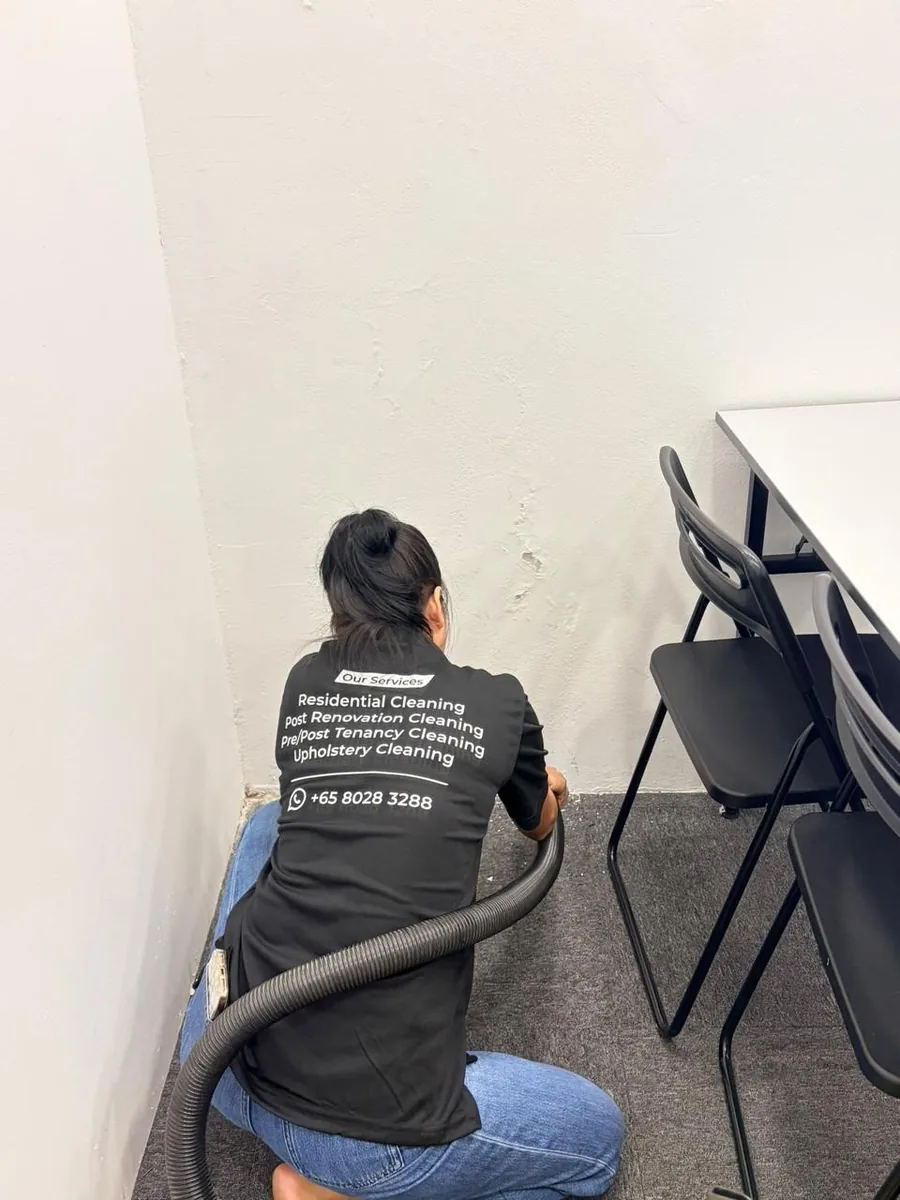 Deep cleaning — carpet and wall base vacuum