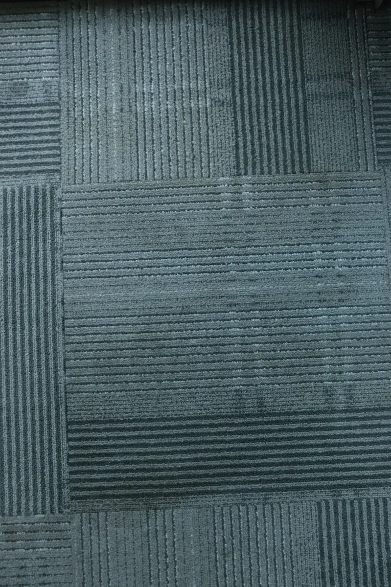 Carpet before deep cleaning
