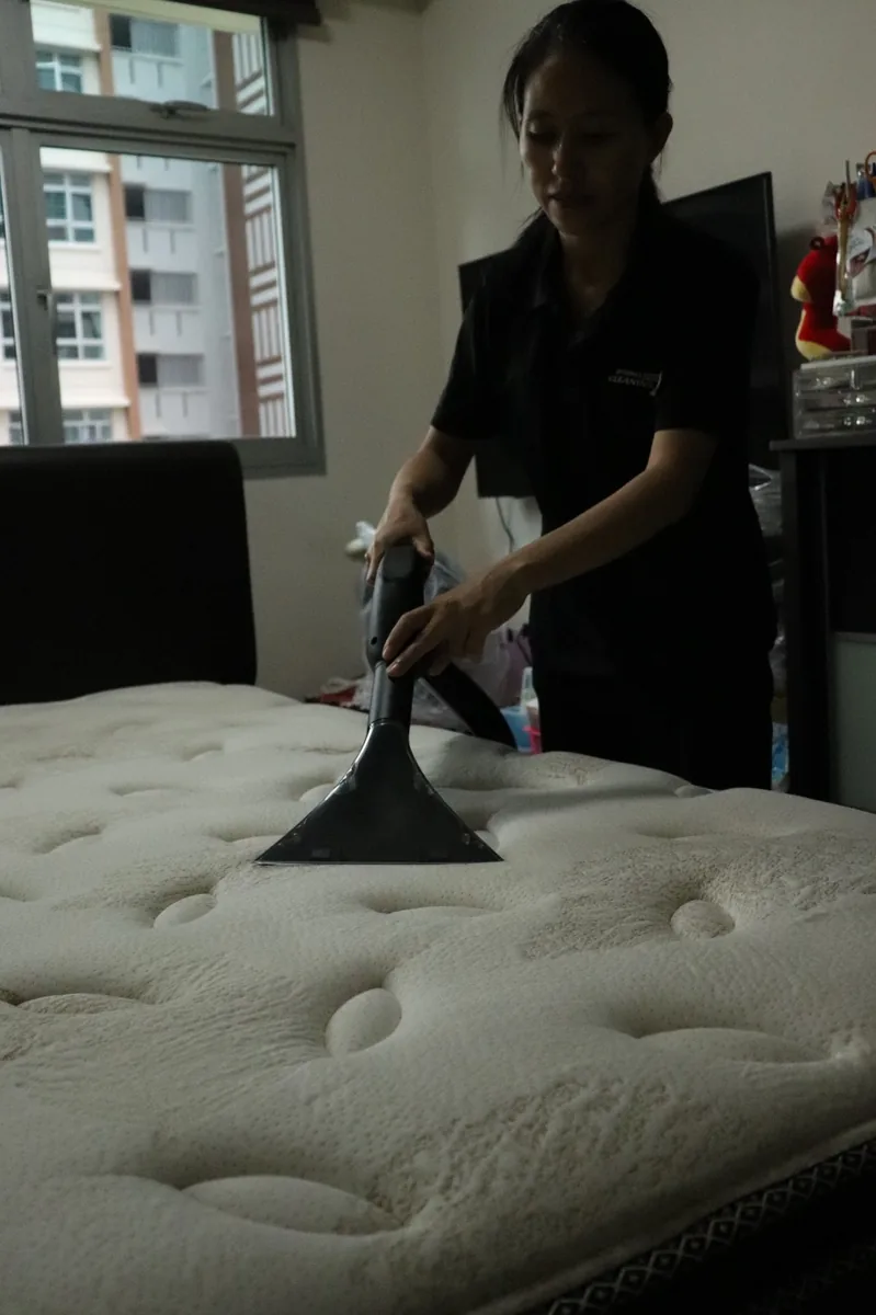 Professional mattress steam cleaning