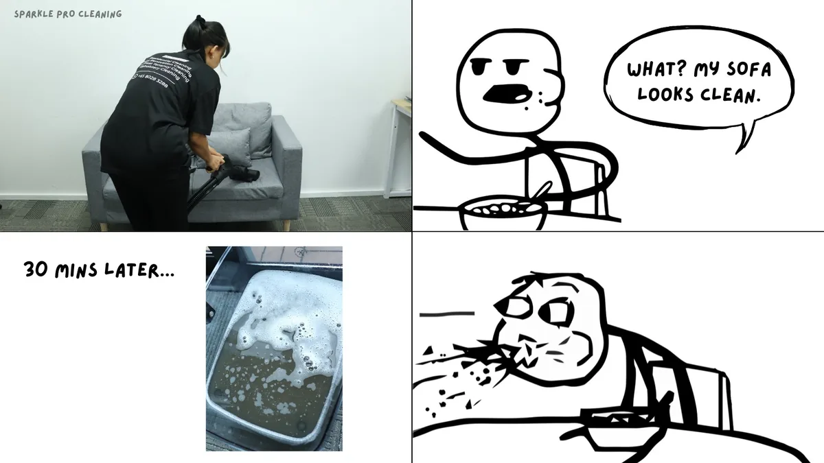 Sofa cleaning proof meme